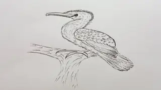 Heron bird drawing!! drawing for beginners!! how to draw easy!! flying heron drawing! Draw correctly