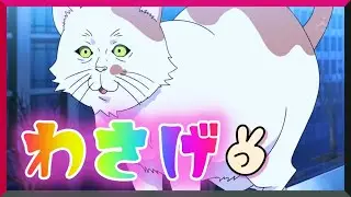 【見る抗うつ剤】ダイナミックコードで元気になろう！