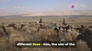 The Shepherd and the Architect &ndash; A Love Story Between Two Worlds