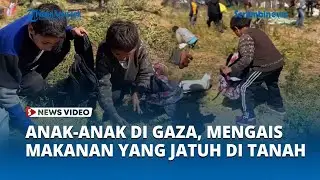 Hadapi Bencana Kelaparan, Anak-anak Gaza Palestina Mengais-ngais Bantuan Makanan yang Jatuh di Tanah