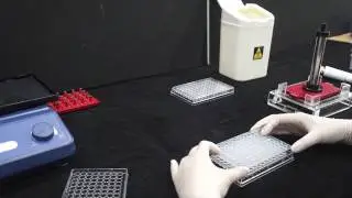 BioFACT / Sequencing cleanup kit / Magnetic bead type / 96well pipettor type