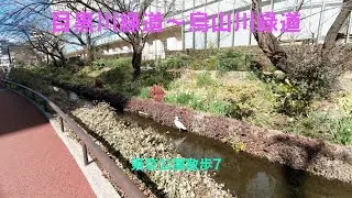 目黒川緑道〜烏山川緑道（東京公園散歩7）