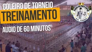 &Aacute;UDIO 60 MINUTOS DE TORNEIO COLEIRO NA RODA DE PAPA CAPIM