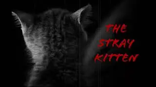 The Stray Kitten (TRUE Scary Hmong Ghost Story told in English) - TalesfromTheAbyss87