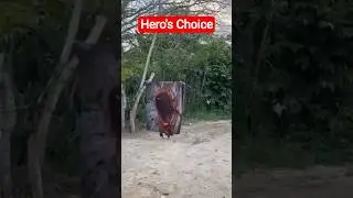 The giant hole funny️ in the street🙌🙌🙌🙌