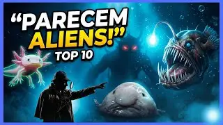 10 ANIMAIS QUE PARECEM DE OUTRO PLANETA (VOC&Ecirc; VAI DUVIDAR QUE EXISTEM!)