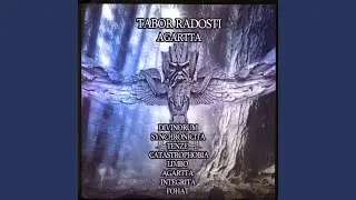 Synchronicita