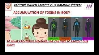 DAILY DETOX + MULTI - GARD Blood Purifier - TAMIL - Training - Elements WELLNESS - M I LIFESTYLE M.