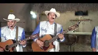 El Crispas - Los Exclusivos Jrz