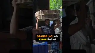 Want to Export Oranges from India? 🍊 Here is the process !