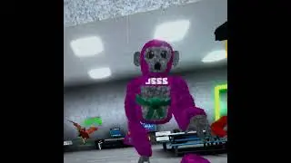Big scary and scary baboon combo