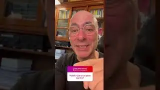 &iquest;Que es un perro reactivo?