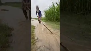 Village Fishing method in rain day #fishing #fishinglife