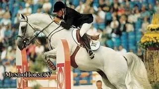 El Caballo Atl&eacute;tico Holsteiner.🐎( The Holsteiner Athletic Horse ).