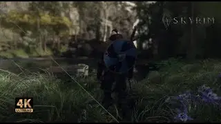 Next gen | Skyrim graphics & gameplay | 2022 (1500 + mods)...💥
