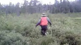 walking through the bog