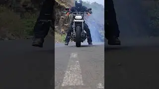 Harley Davidson Fatbob - Brawler Alert!