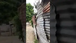 Garrison neighborhood walk through‼️ #jamaica #travel #viral #adventure #explore