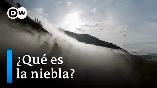 ¿Cómo se forma la niebla?