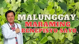 Malunggay: Maraming Benepisyo Sayo. - By Doc Willie Ong