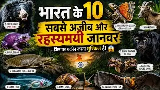 भारत में पाए जाने वाले सबसे अजीब जानवर 😱 | Strange Animals in India | @FactFusionKS @CarryMinati 