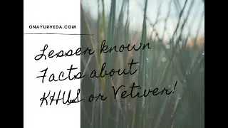 Khus Or Vetiver : Grass, Essential Oil, Roots,Health Benefits Research Based (Ultimate Guide 2020).