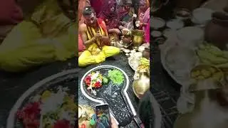 🌺🌿⚘️ बाबा वैद्यनाथ ज्योतिर्लिंग का प्रातःकालीन पूजन 🌺🌿⚘️ 17/5/2025 #bholanath #deoghar #babadham
