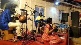 Veena instrumental for wedding #instrumentalorchestra #weddingorchestra