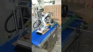Shipping bill top flat surface labeling machine label applicator video