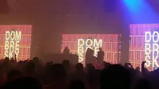 Dombrowsky - Collective Zoo 