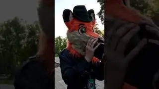 СЪЕЛ ЛАПУ #furry #fursuit #antro #фурри #фурсьют #реакция #Фоксвуд #FoxWood