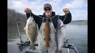 Chicken vs Shad Catfish, and a legendary log fish