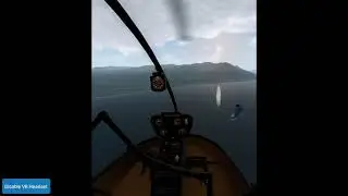 Robinson R22 Beta II X-Plane