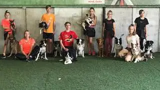 22 июня 2019 г.