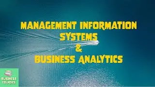 What exactly are MIS and Business Analytics?