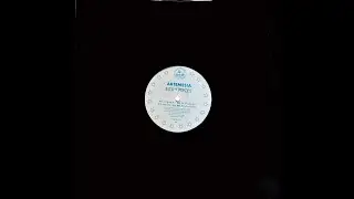 Artemesia - Bits + Pieces (Red Jerry Mix)