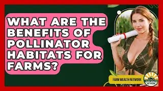 What Are The Benefits Of Pollinator Habitats For Farms? - Farm Wealth Network