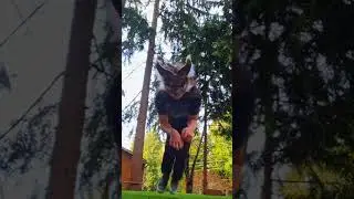 Why does yt always ruin the quality😭 {#quads #furry #theriantropy #theriangear #therian #quadrobics}
