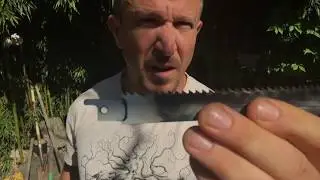 Bamboo Removal and Pruining Tips