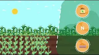 Nitrogen Research