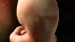 The Miracle Of Human Creation