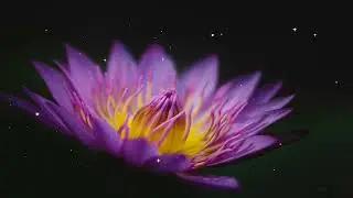 ULTRA Meditation MUSIC to Heal the Body, Mind and Soul &bull; Healing Music for Stress