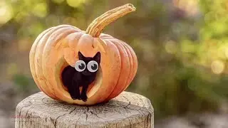 Реклама и имидж WildBrain TV Canada на Хэллоуин 2024🎃
