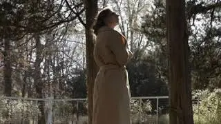Beautiful, delicate, wonder