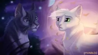 Häherfeder || Warrior Cats Videos