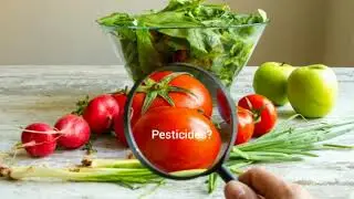 OKAMIZU Food Detoxifier - How to wash vege and fruit safely?