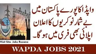 WAPDA Jobs 2021 Advertisement Application Form www.wapda.gov.pk