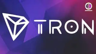 How To Make Money With Forsage smart contract | Forsage Tron Smart Contract | Success Team