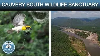 CAUVERY SOUTH WILDLIFE SANCTUARY  | DT NEXT