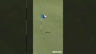 BIRDIE TRAIN FOR PIETERS #golf #livgolf #livgolfkorea